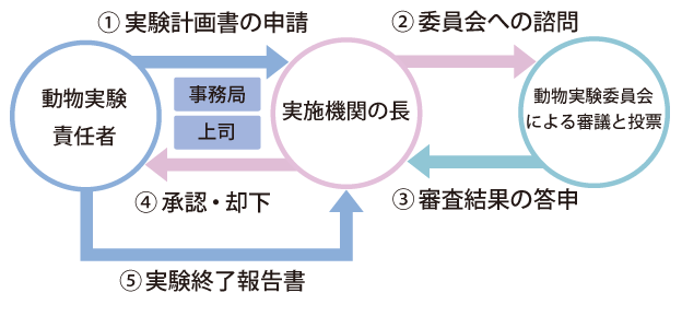 図)動物実験計画書審査の流れ