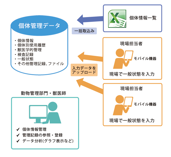 個体別管理のイメージ