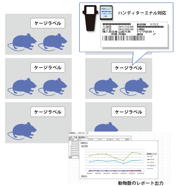 収容状況管理のイメージ